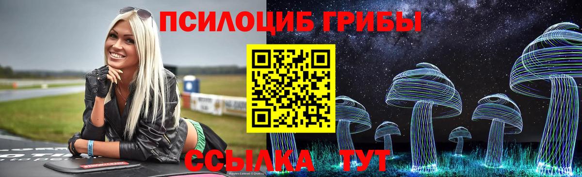 Галлюциногенные грибы MAGIC MUSHROOMS Чита